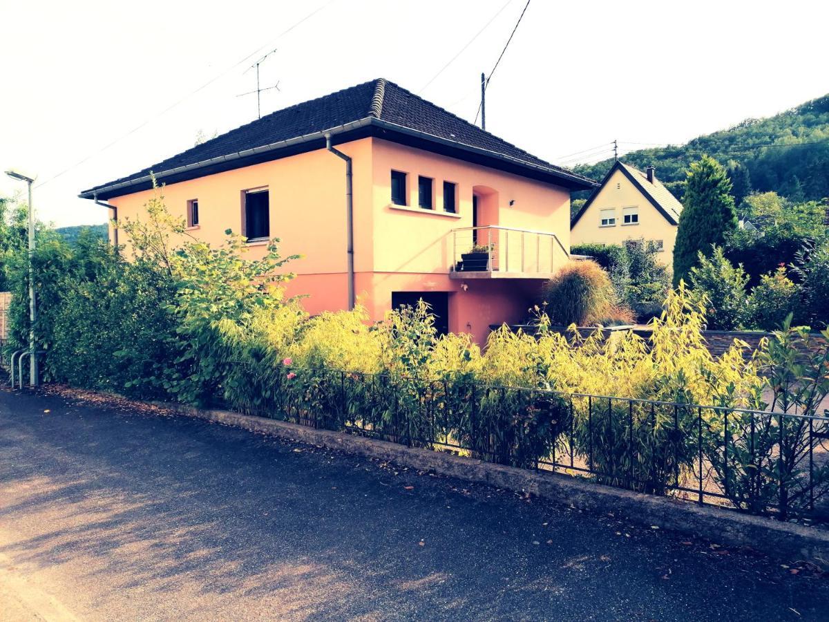 Le Ptit Lou Kaysersberg-Vignoble Exterior foto